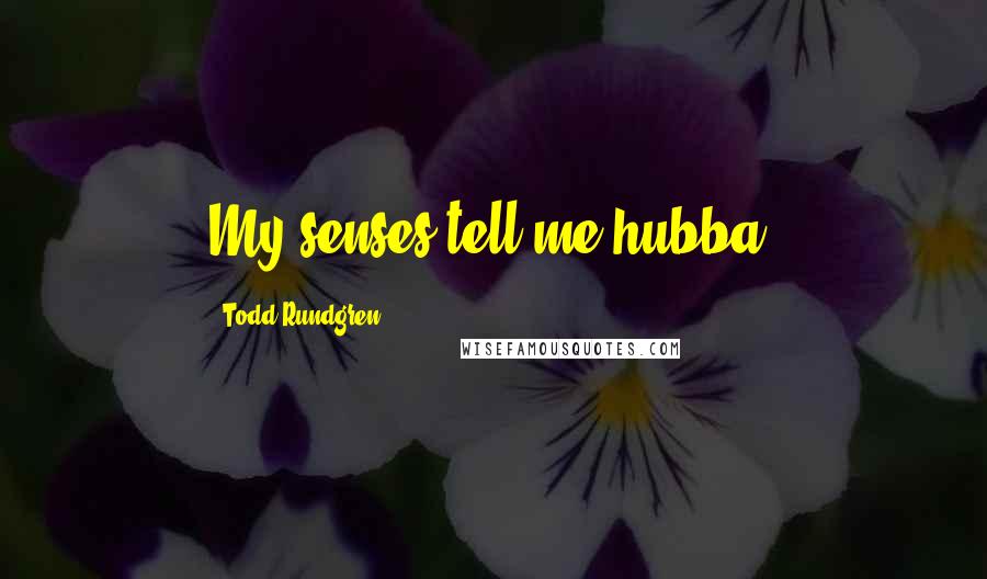 Todd Rundgren Quotes: My senses tell me hubba.