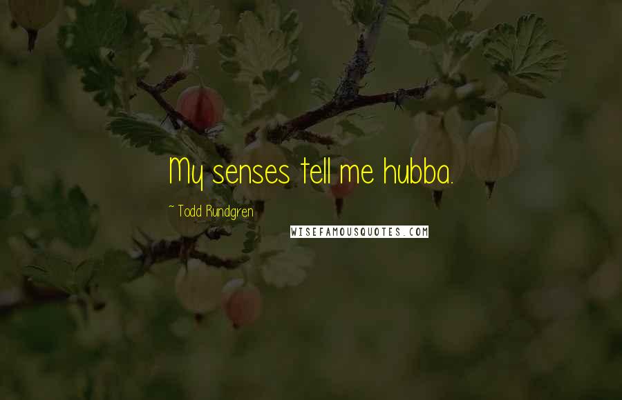 Todd Rundgren Quotes: My senses tell me hubba.