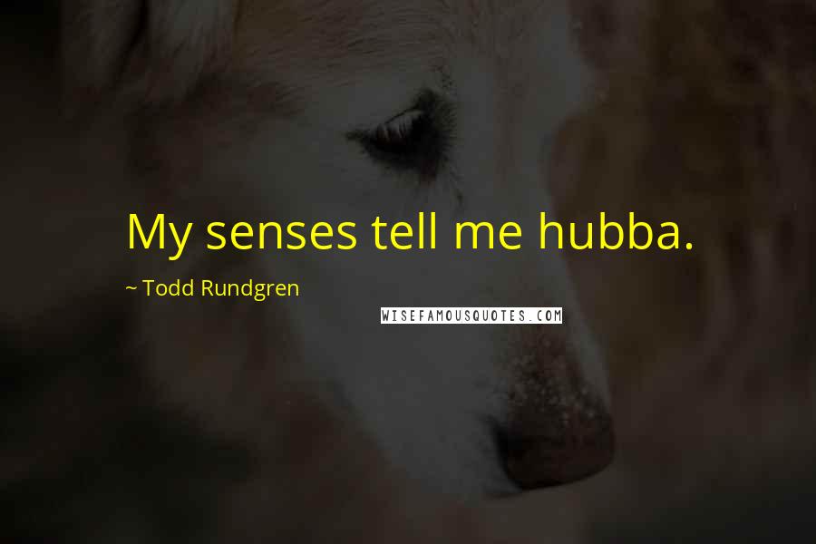 Todd Rundgren Quotes: My senses tell me hubba.