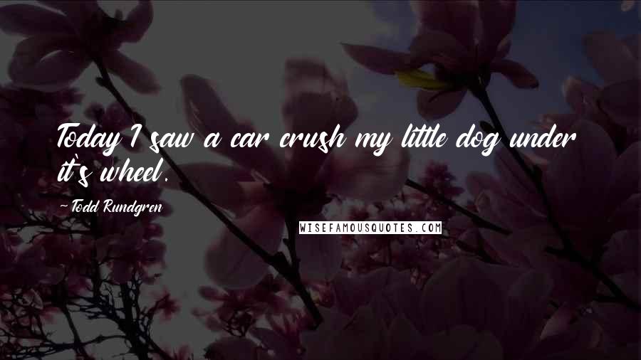 Todd Rundgren Quotes: Today I saw a car crush my little dog under it's wheel.