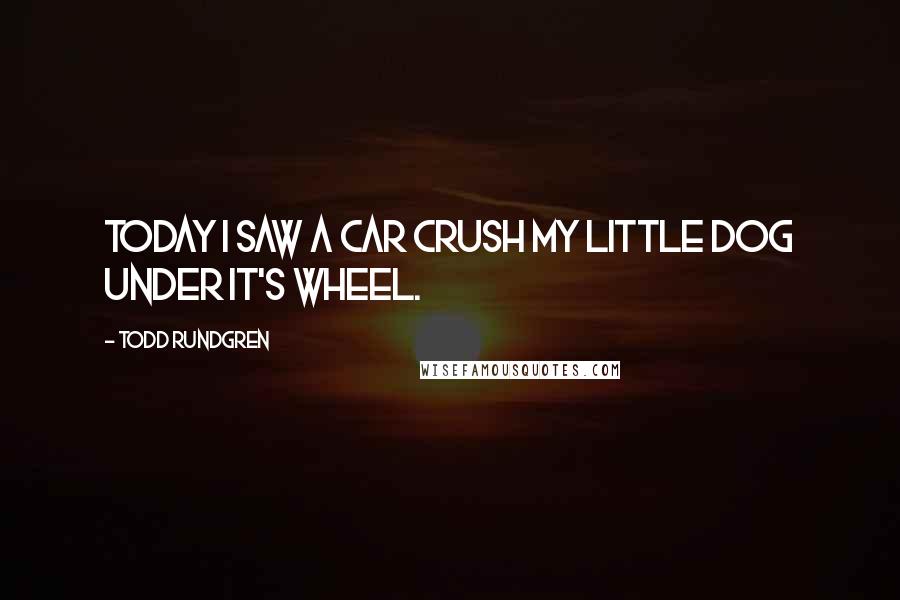 Todd Rundgren Quotes: Today I saw a car crush my little dog under it's wheel.