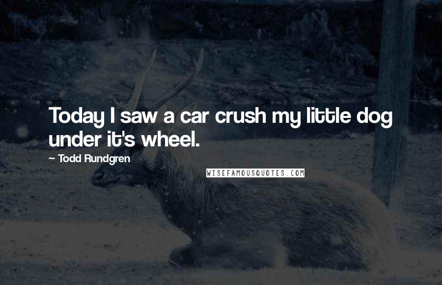 Todd Rundgren Quotes: Today I saw a car crush my little dog under it's wheel.