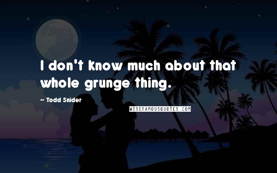 Todd Snider Quotes: I don't know much about that whole grunge thing.