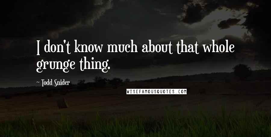 Todd Snider Quotes: I don't know much about that whole grunge thing.