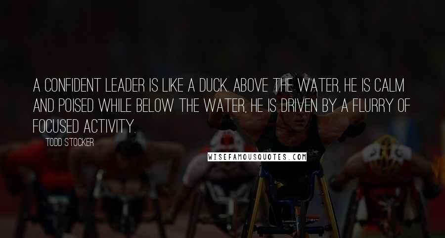 Todd Stocker Quotes: A confident leader is like a duck. Above the water, he is calm and poised while below the water, he is driven by a flurry of focused activity.
