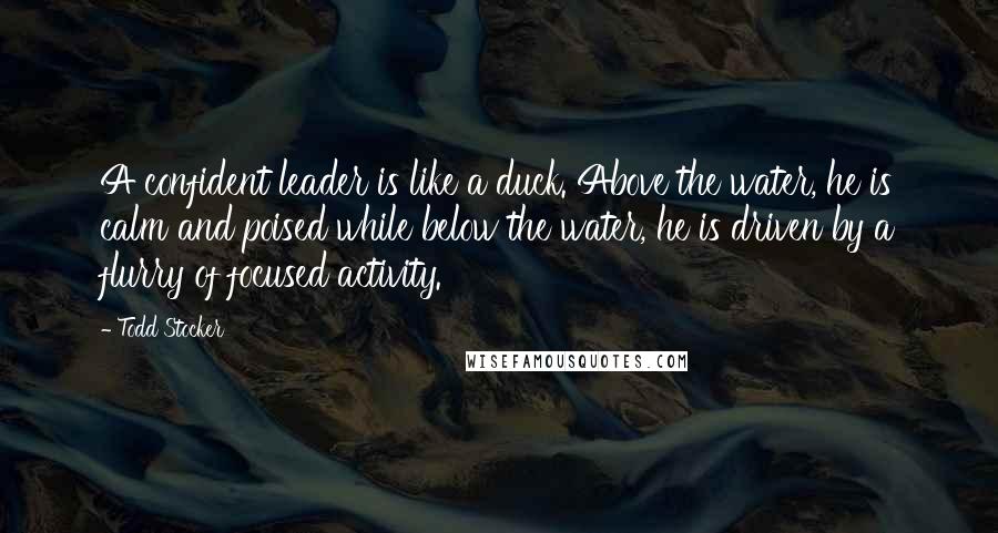 Todd Stocker Quotes: A confident leader is like a duck. Above the water, he is calm and poised while below the water, he is driven by a flurry of focused activity.