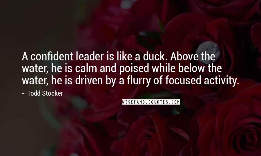 Todd Stocker Quotes: A confident leader is like a duck. Above the water, he is calm and poised while below the water, he is driven by a flurry of focused activity.