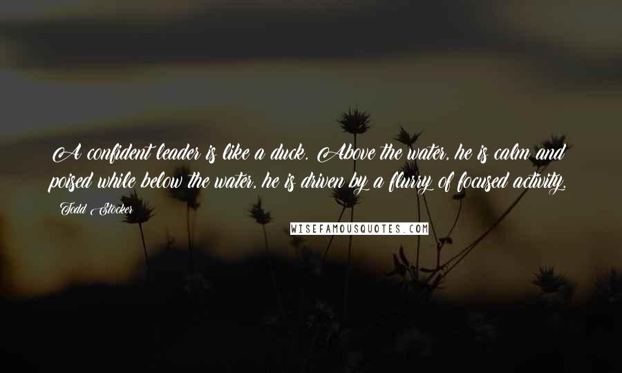 Todd Stocker Quotes: A confident leader is like a duck. Above the water, he is calm and poised while below the water, he is driven by a flurry of focused activity.