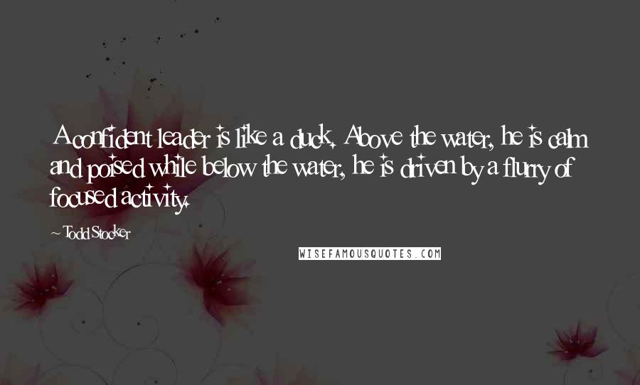 Todd Stocker Quotes: A confident leader is like a duck. Above the water, he is calm and poised while below the water, he is driven by a flurry of focused activity.