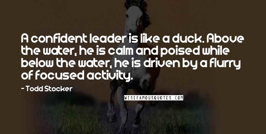 Todd Stocker Quotes: A confident leader is like a duck. Above the water, he is calm and poised while below the water, he is driven by a flurry of focused activity.