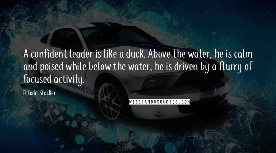 Todd Stocker Quotes: A confident leader is like a duck. Above the water, he is calm and poised while below the water, he is driven by a flurry of focused activity.