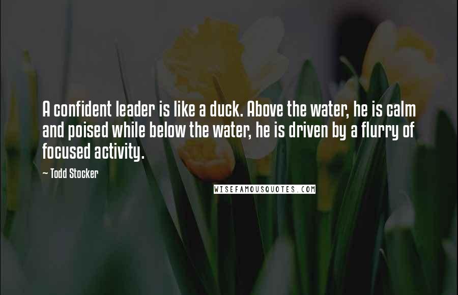 Todd Stocker Quotes: A confident leader is like a duck. Above the water, he is calm and poised while below the water, he is driven by a flurry of focused activity.