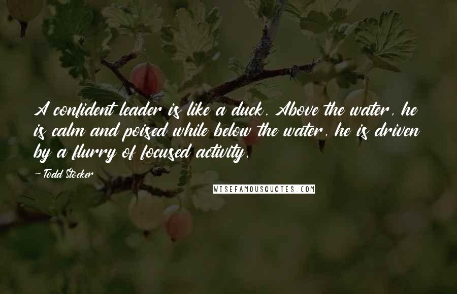 Todd Stocker Quotes: A confident leader is like a duck. Above the water, he is calm and poised while below the water, he is driven by a flurry of focused activity.