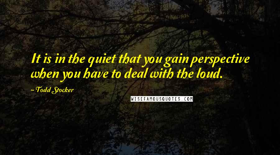 Todd Stocker Quotes: It is in the quiet that you gain perspective when you have to deal with the loud.