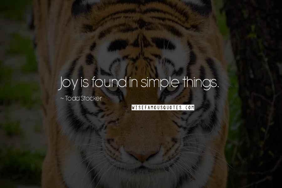 Todd Stocker Quotes: Joy is found in simple things.