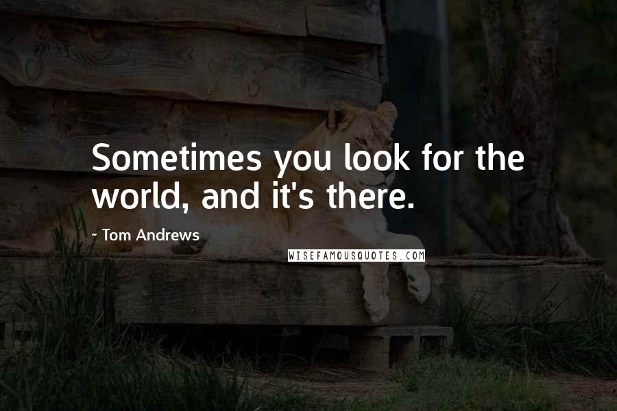 Tom Andrews Quotes: Sometimes you look for the world, and it's there.