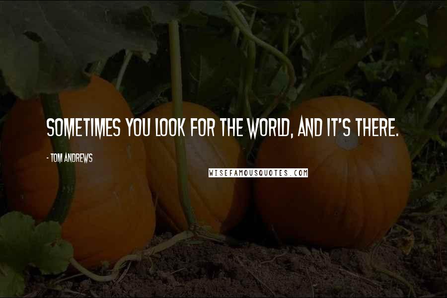 Tom Andrews Quotes: Sometimes you look for the world, and it's there.