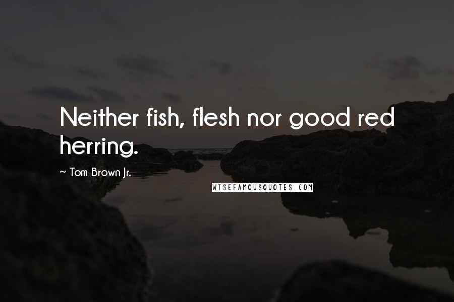 Tom Brown Jr. Quotes: Neither fish, flesh nor good red herring.