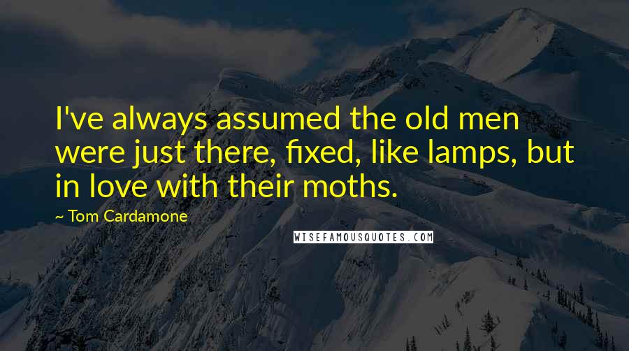 Tom Cardamone Quotes: I've always assumed the old men were just there, fixed, like lamps, but in love with their moths.