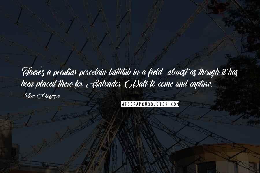 Tom Chesshyre Quotes: There's a peculiar porcelain bathtub in a field; almost as though it has been placed there for Salvador Dali to come and capture.