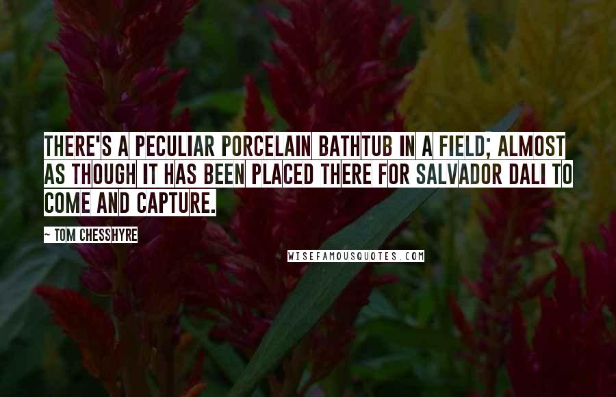 Tom Chesshyre Quotes: There's a peculiar porcelain bathtub in a field; almost as though it has been placed there for Salvador Dali to come and capture.