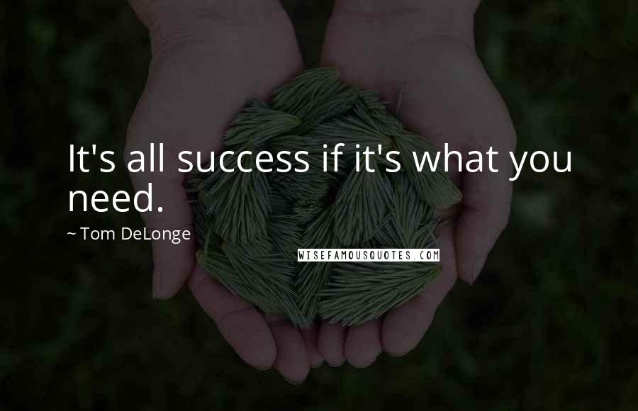 Tom DeLonge Quotes: It's all success if it's what you need.