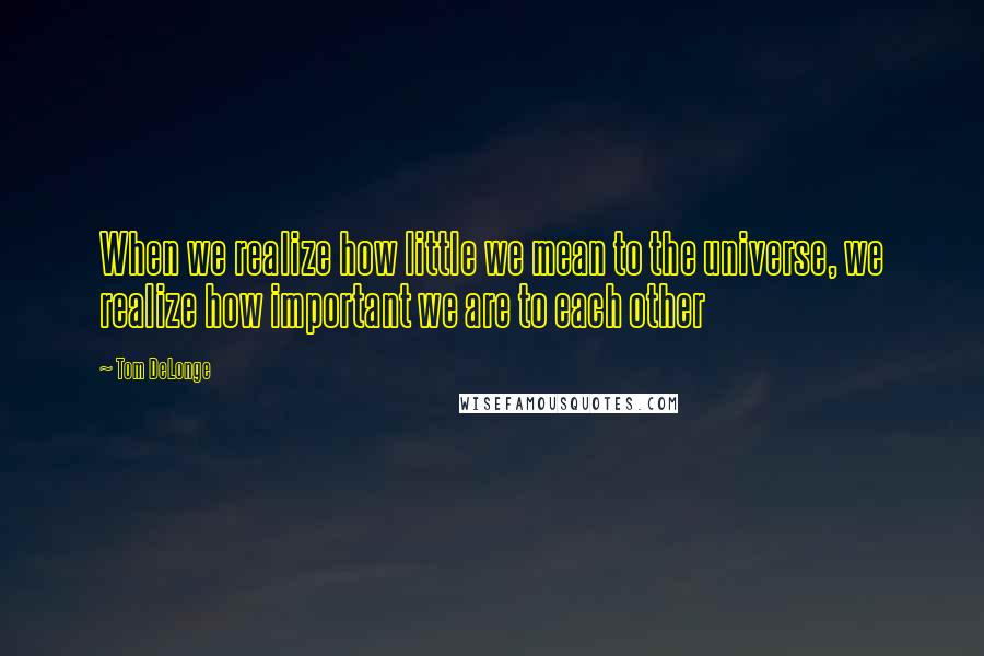 Tom DeLonge Quotes: When we realize how little we mean to the universe, we realize how important we are to each other