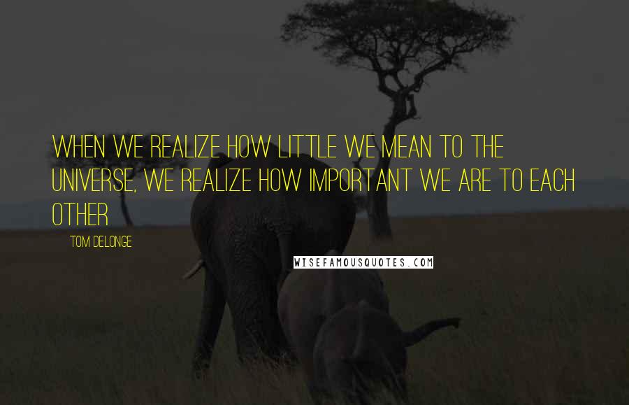 Tom DeLonge Quotes: When we realize how little we mean to the universe, we realize how important we are to each other