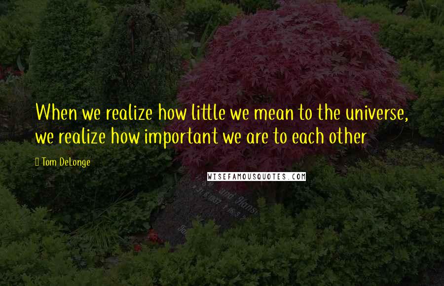 Tom DeLonge Quotes: When we realize how little we mean to the universe, we realize how important we are to each other