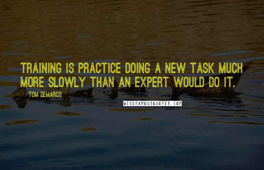 Tom DeMarco Quotes: Training is practice doing a new task much more slowly than an expert would do it.