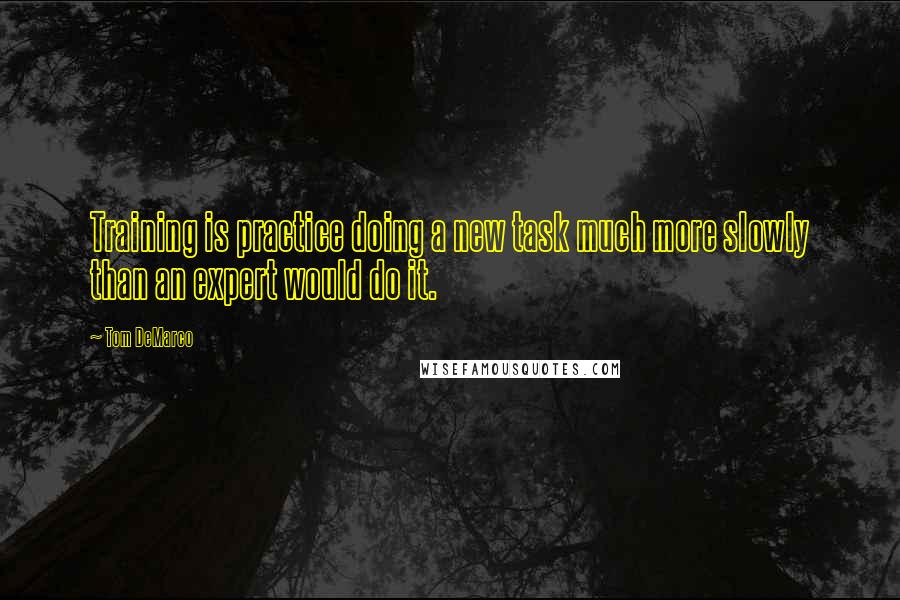 Tom DeMarco Quotes: Training is practice doing a new task much more slowly than an expert would do it.