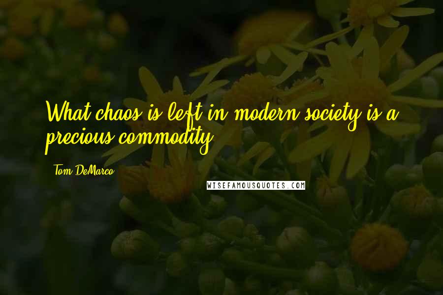 Tom DeMarco Quotes: What chaos is left in modern society is a precious commodity.