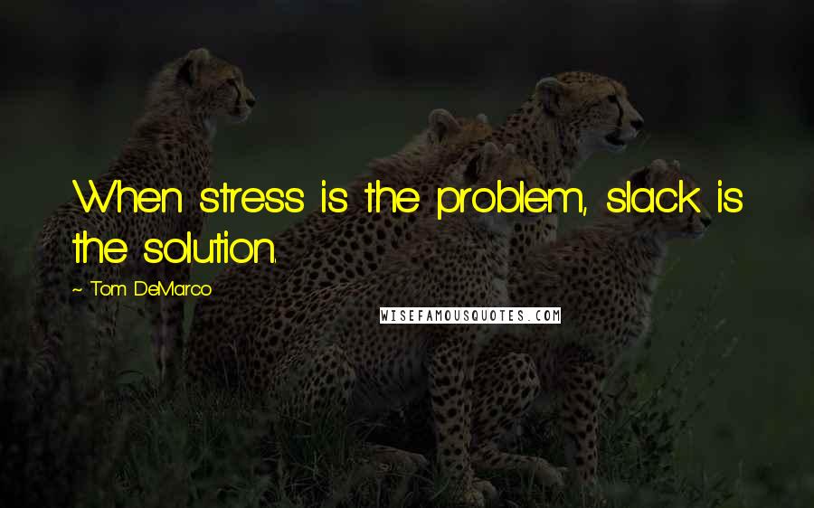 Tom DeMarco Quotes: When stress is the problem, slack is the solution.