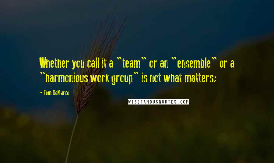 Tom DeMarco Quotes: Whether you call it a "team" or an "ensemble" or a "harmonious work group" is not what matters;