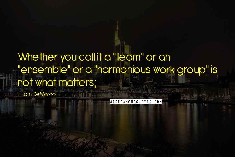 Tom DeMarco Quotes: Whether you call it a "team" or an "ensemble" or a "harmonious work group" is not what matters;