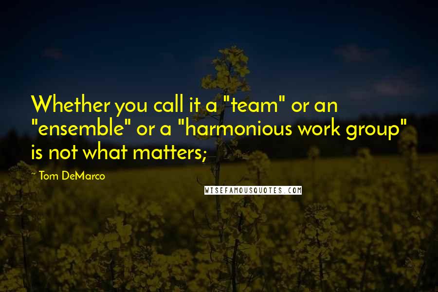 Tom DeMarco Quotes: Whether you call it a "team" or an "ensemble" or a "harmonious work group" is not what matters;