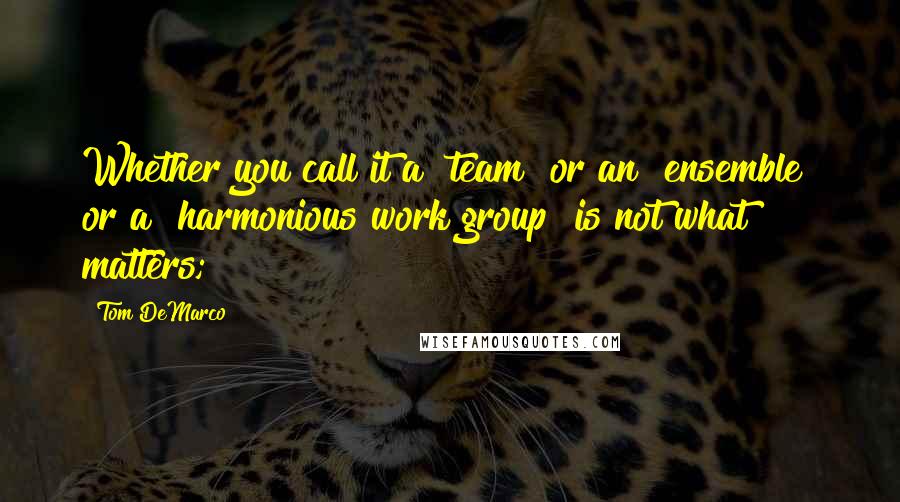 Tom DeMarco Quotes: Whether you call it a "team" or an "ensemble" or a "harmonious work group" is not what matters;