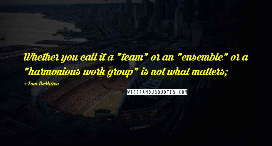 Tom DeMarco Quotes: Whether you call it a "team" or an "ensemble" or a "harmonious work group" is not what matters;