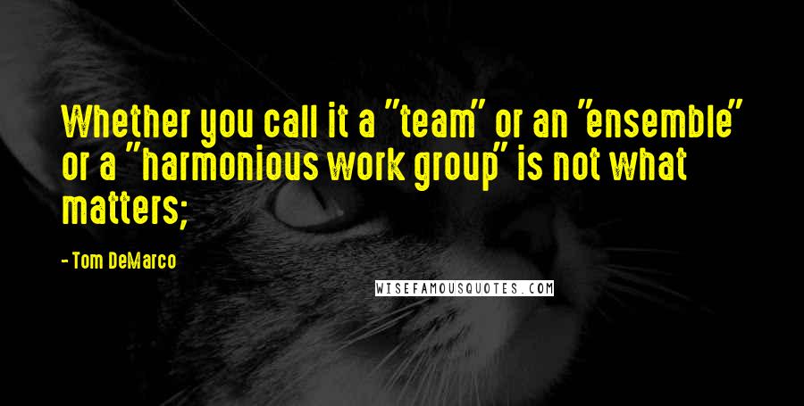 Tom DeMarco Quotes: Whether you call it a "team" or an "ensemble" or a "harmonious work group" is not what matters;