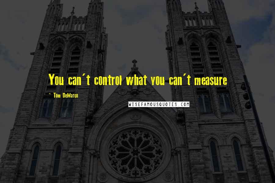 Tom DeMarco Quotes: You can't control what you can't measure