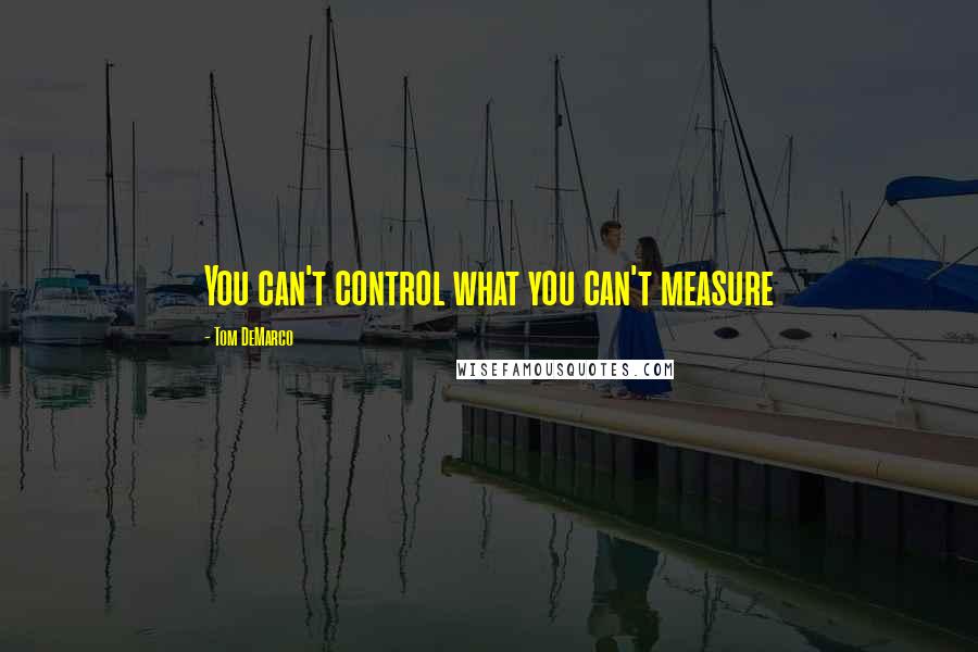 Tom DeMarco Quotes: You can't control what you can't measure