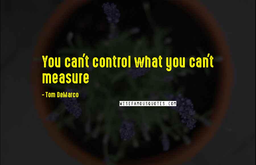 Tom DeMarco Quotes: You can't control what you can't measure