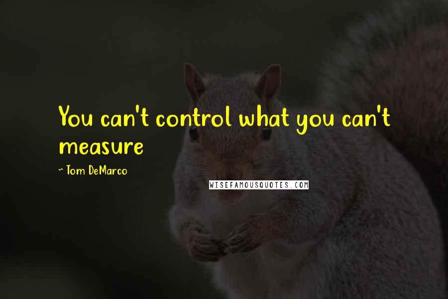 Tom DeMarco Quotes: You can't control what you can't measure