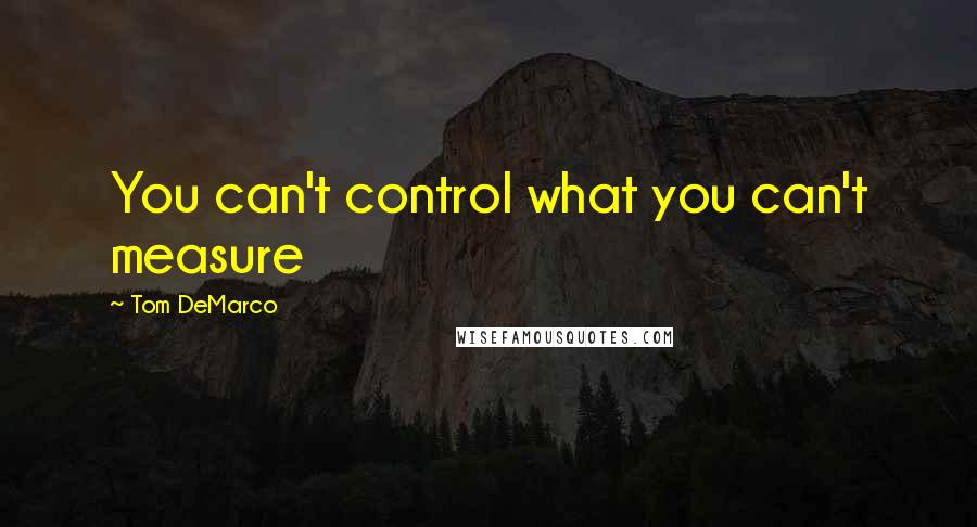 Tom DeMarco Quotes: You can't control what you can't measure