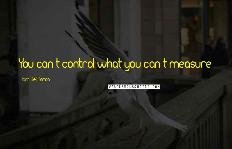 Tom DeMarco Quotes: You can't control what you can't measure