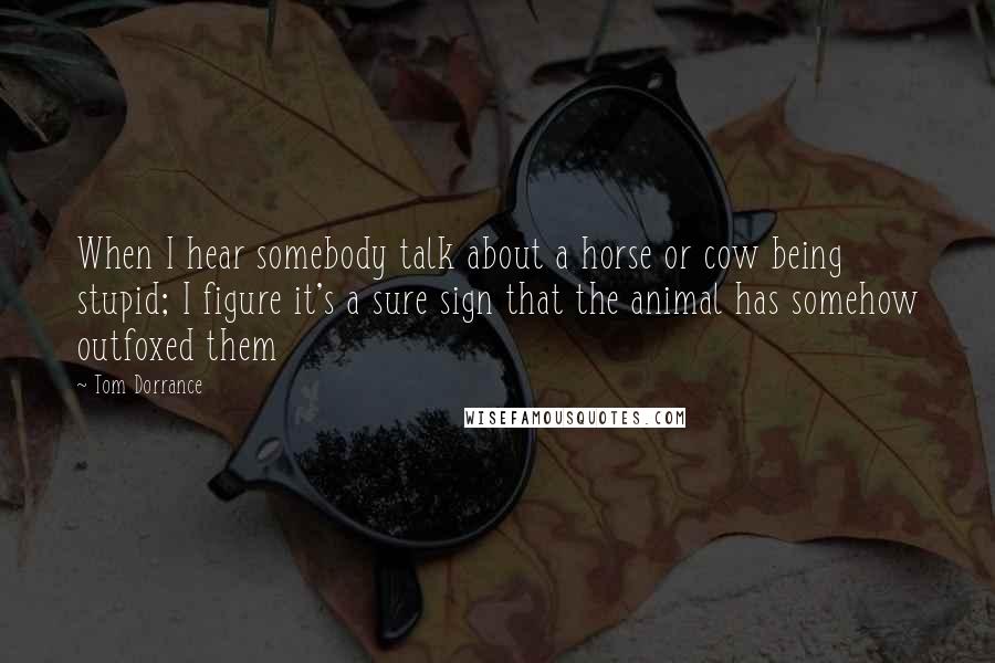 Tom Dorrance Quotes: When I hear somebody talk about a horse or cow being stupid; I figure it's a sure sign that the animal has somehow outfoxed them