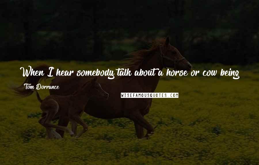 Tom Dorrance Quotes: When I hear somebody talk about a horse or cow being stupid; I figure it's a sure sign that the animal has somehow outfoxed them