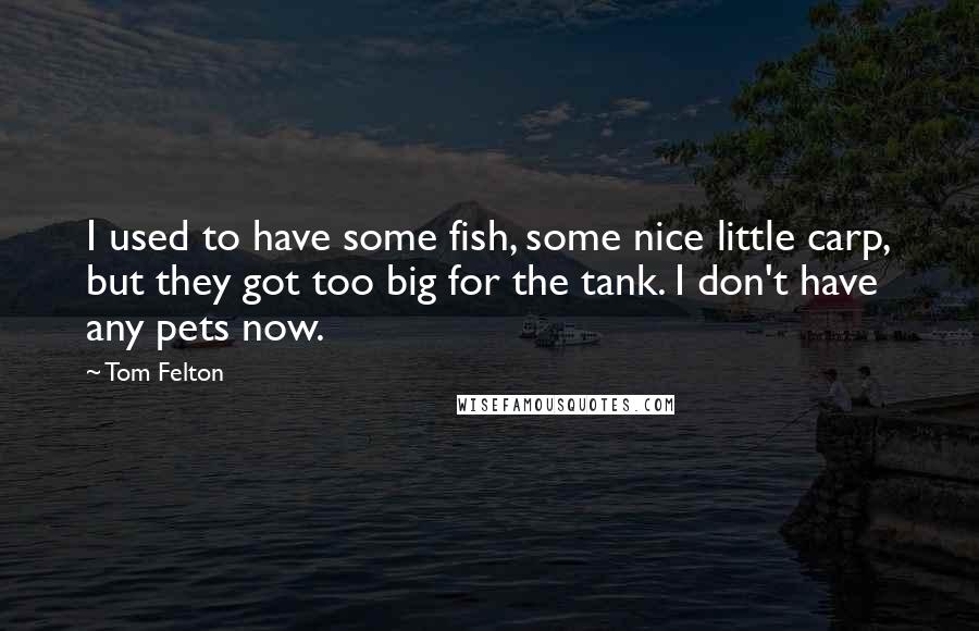 Tom Felton Quotes: I used to have some fish, some nice little carp, but they got too big for the tank. I don't have any pets now.