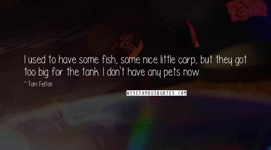 Tom Felton Quotes: I used to have some fish, some nice little carp, but they got too big for the tank. I don't have any pets now.