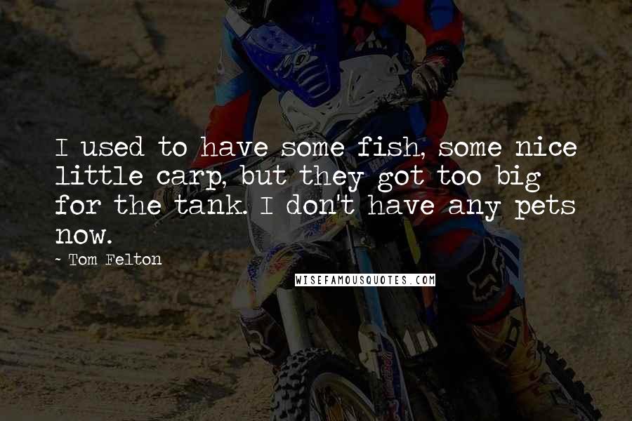 Tom Felton Quotes: I used to have some fish, some nice little carp, but they got too big for the tank. I don't have any pets now.